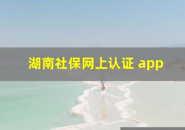 湖南社保网上认证 app